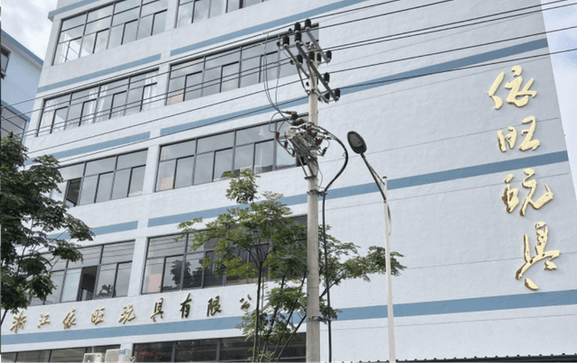 Skilled craftsmen at work